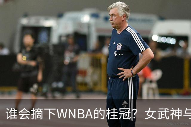 谁会摘下WNBA的桂冠？女武神与梦想的争夺战即将上演！